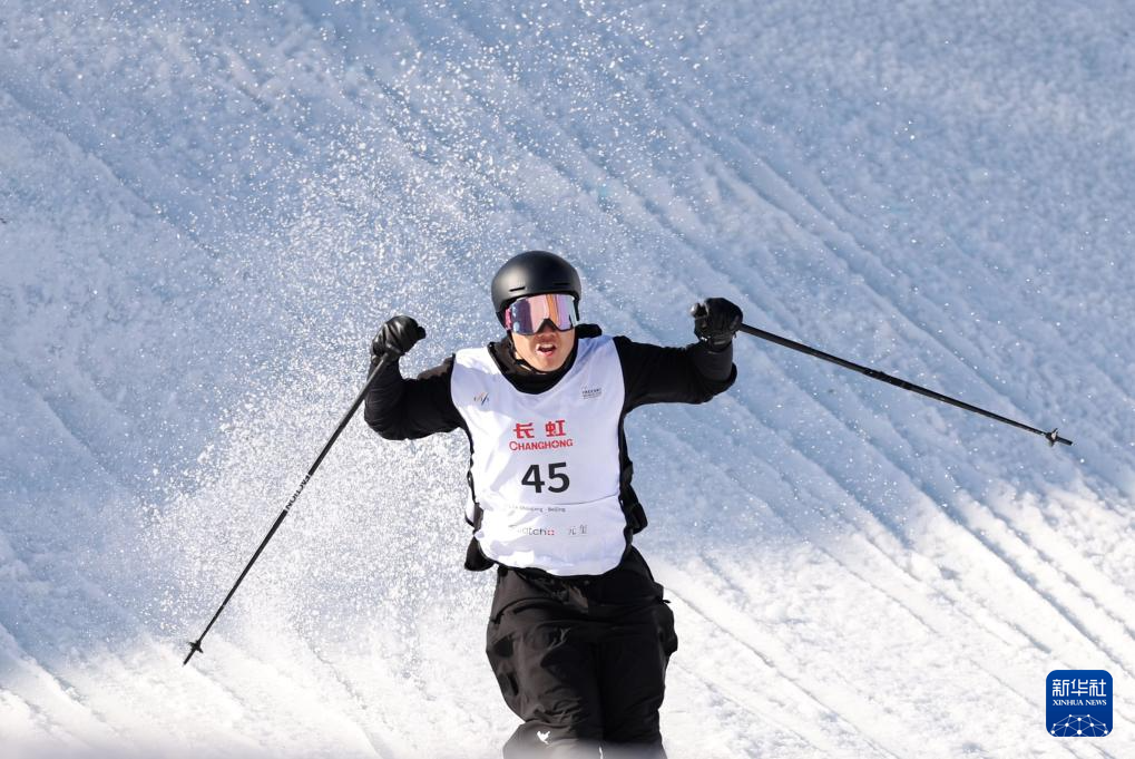 爱体育官网-德国选手在自由式滑雪项目中夺冠，表现优异