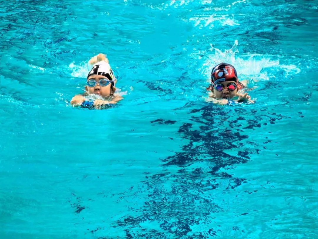 游泳比赛中选手们表现出色实现三连冠