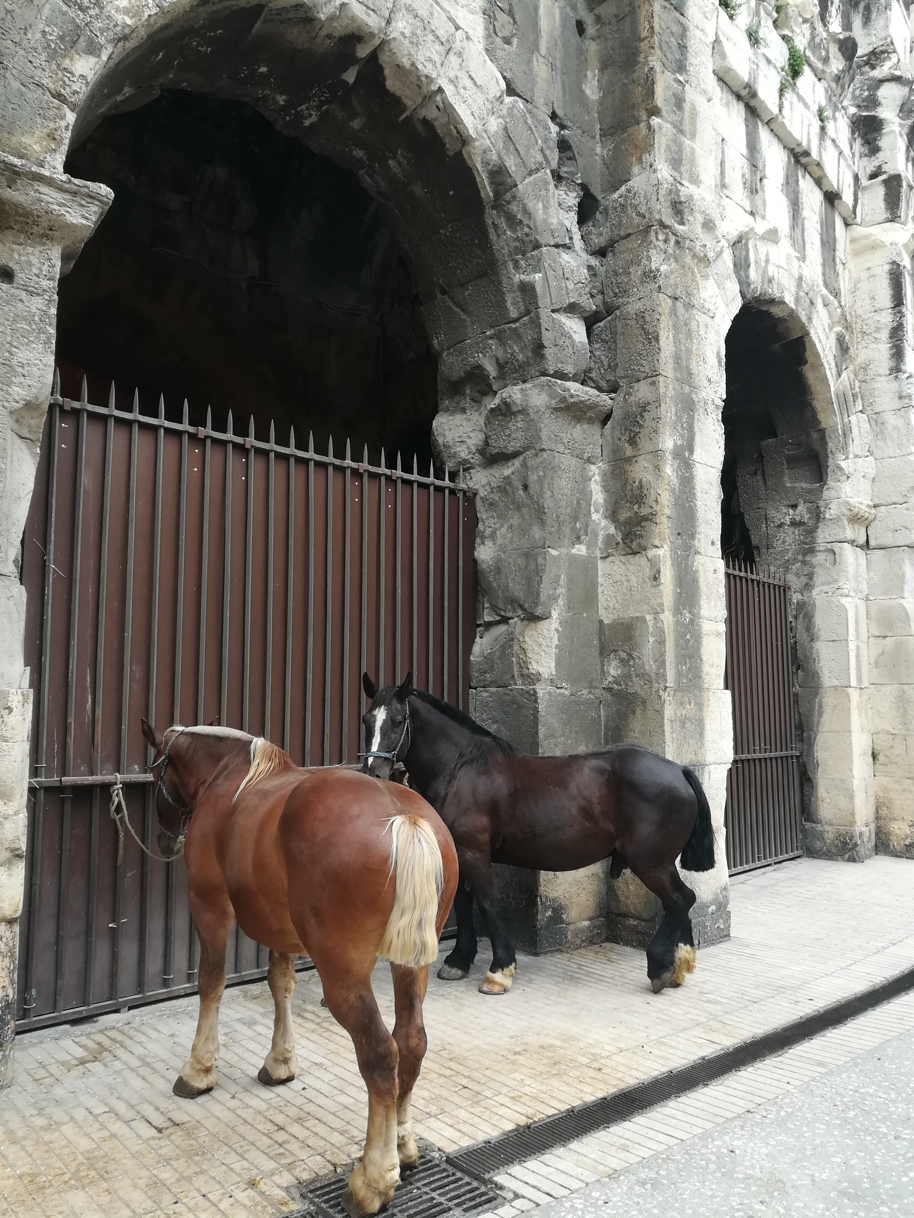 图卢兹主场战平尼姆，惜败于久攻不下