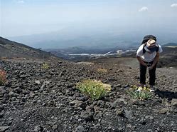 卡塔尼亚遭遇连败，战绩垂危