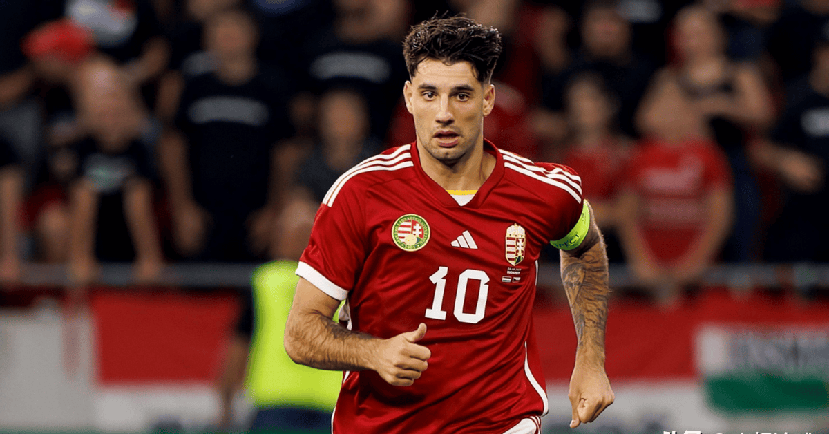 爱体育-匈牙利队艰难晋级，为欧锦赛增添变数